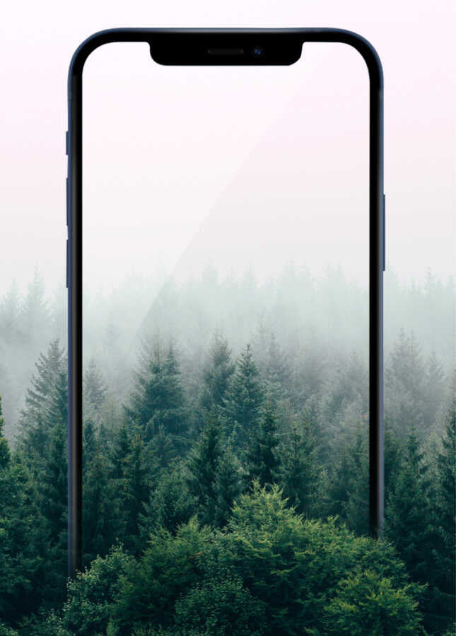 Apple iPhone 13 Pro Wiwu iPrivacy HD Anti-Peep Ekran Koruyucu Siyah