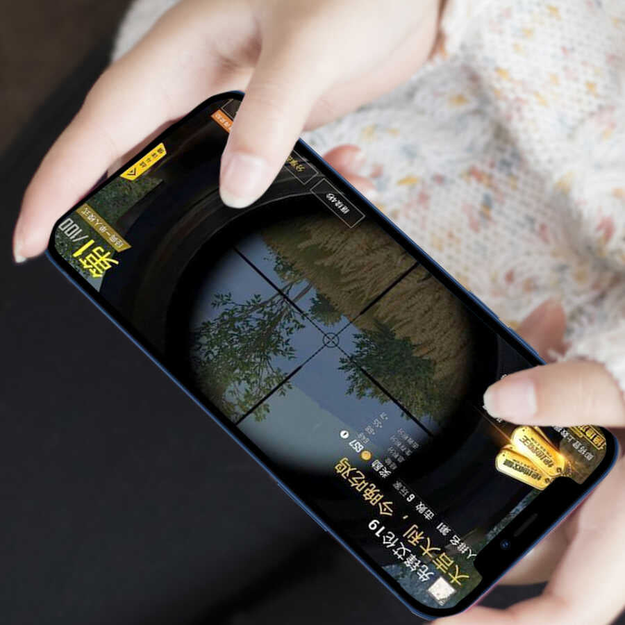 Apple iPhone 13 Pro Wiwu iPrivacy HD Anti-Peep Ekran Koruyucu Siyah