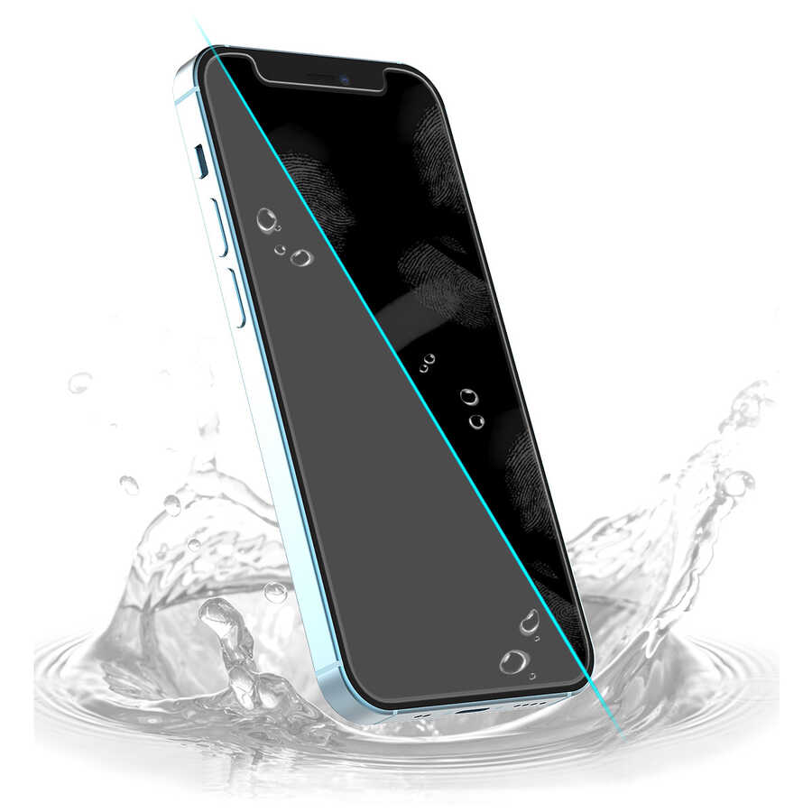 Apple iPhone 12 Pro Max Araree Subcore Temperli Ekran Koruyucu Renksiz