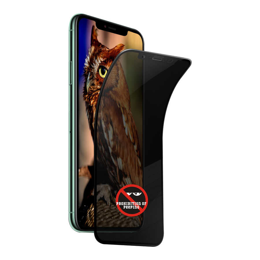 Apple iPhone 12 Pro Max Go Des Privacy Ekran Koruyucu Siyah