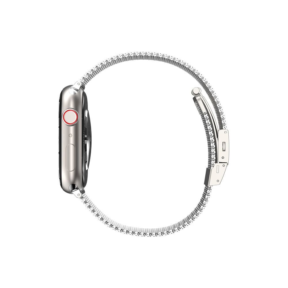 Apple Watch 10 42mm Amazingthing Titan Metal Hasır Kordon Siyah