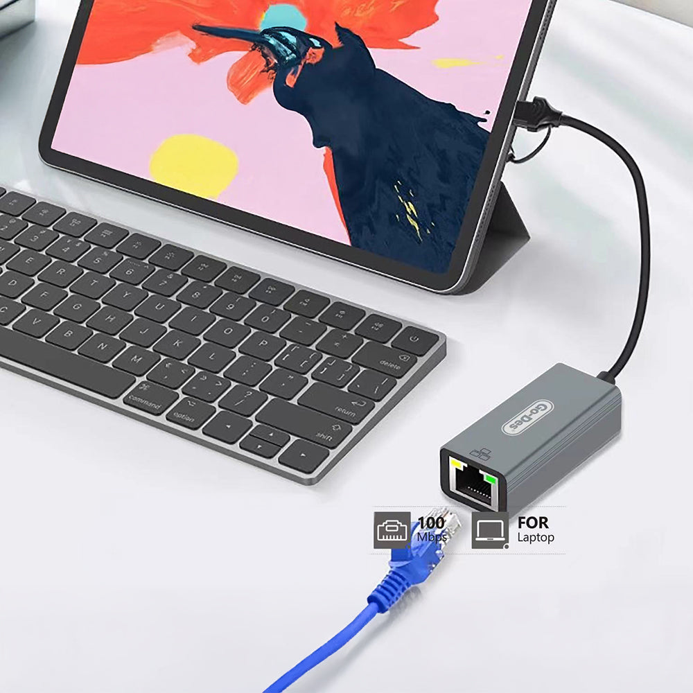Go Des GD-6871 RJ45 Type-C ve USB-A Ethernet Dönüştürücü Kablo 100Mbps Gri